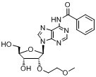 N6-苯甲?；?2'-O-(2-甲氧基乙基)腺苷